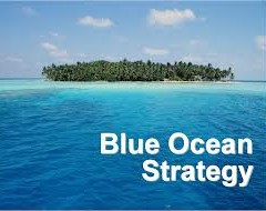 the Blue Ocean Strategy Book Review