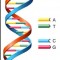 ما مدى توازن الحمض النووي التنظيمي الخاص بمنظمتك ؟ How Balanced Is Your Organizational DNA?