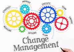 قراءة في مقالة حول  إدارة التغيير الرشيق Agile Change Management