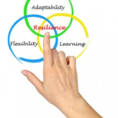 المرونة التنظيمية Organizational Resilience