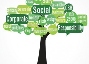 الاستدامة والمسؤولية الاجتماعية: دور الشركات في بناء مستقبل أفضل