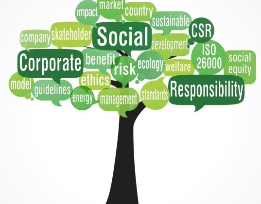 الاستدامة والمسؤولية الاجتماعية: دور الشركات في بناء مستقبل أفضل