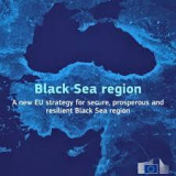 استراتيجية المحيط الأسود القيادة والتنافس في أسواق الفوضى وعدم اليقين