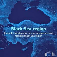 استراتيجية المحيط الأسود القيادة والتنافس في أسواق الفوضى وعدم اليقين